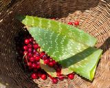 Foto del paso 1 de la receta: Agua de Cerezas y Aloe