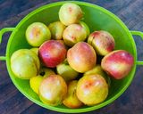 Hình bước làm 1 của món Trà Đào