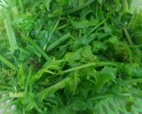 Hình bước làm 1 của món Cơm ngon nhà nấu