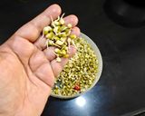 A picture of step 1 of Moong Sprouts Salad With Smokey Corn.