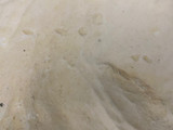 Pizza de pollo, apto Keto, no lo vas a creer!