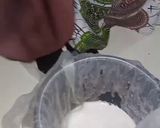 A picture of step 2 of Tigernut powder (kunun Aya powder).