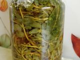 Fermentált, savanyított kövér porcsin