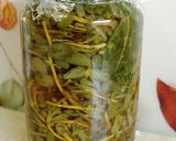 Fermentált, savanyított kövér porcsin recept fázis 3 fotója