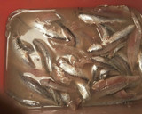Foto del paso 3 de la receta: Boqueroncillos en vinagre a la imperial