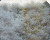 ขนมถั่วแปบ วิธีทำสูตร 1 รูป