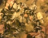 Foto del paso 4 de la receta: Arroz aguado con puerco y chipilin