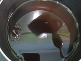 Es Teh Jelly Sirsak