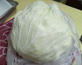 糖醋涼拌高麗菜的食譜步驟1照片