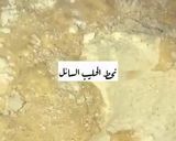 صورة لخطوة 4 من وصفة مصابيب