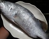 Foto langkah ke 1 dari resep Ikan baramundi fillet crispy saos barbeque ala richesse.
