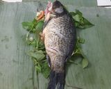 Foto langkah ke 4 dari resep Pepes Ikan Mas Daun Kemangi.