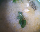 Foto del paso 3 de la receta: Arroz pilaf