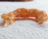 Foto langkah ke 5 dari resep Simple onion ring.