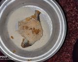 মশালা পমফ্রেট (masala pomfret recipe in Bengali) রেসিপির ধাপ 2 ছবি