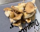 Une image de l'étape 2 de Duo de champignons sautés ail rose et coriandre.