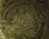 A picture of step 2 of Palak ka saag.