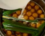 Foto langkah ke 4 dari resep Kolak Biji Salak Kabocha.