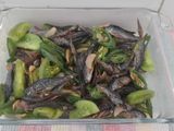 Oseng Ikan Asin Belanak Cabe Hijau