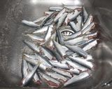 Foto del paso 1 de la receta: Sardinas Parrochas a la plancha