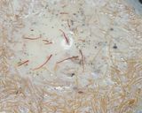 A picture of step 2 of Semaiya payasam.
