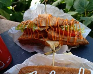 ���� ���� ������ �� ���� ������