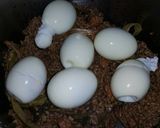 Foto langkah ke 7 dari resep Sego Reget.
