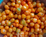 A picture of step 1 of Kambuzi sauce (2 methods like pro).
