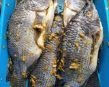 Foto langkah ke 3 dari resep Ikan Nila Bakar Kecap Teflon.