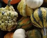 Une image de l'étape 1 de 🧑‍🍳Soupe 🥣 potimarron🍁🎨🧑‍🍳.