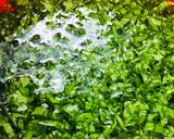 Stir fried Palak gravy with dash of desiccated coconut powder recipe step 1 photo