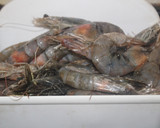 Foto del paso 1 de la receta: Langostinos en freidora de aire