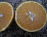 Foto del paso 3 de la receta: HELADO DE DURAZNO🍑,PELONES Y JUGO 🍑 DE 😍😍😍🍊NARANJA🍊
