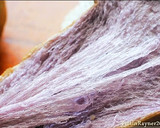 Foto langkah ke 11 dari resep Killer Toast Hokkaido Milk Taro (bubuk Ubi Ungu) Super SOFT.