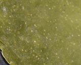 पालक पराठा (palak paratha recipe in marathi) रेसिपी स्टेप 4 फोटो 