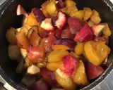 Une image de l'étape 4 de Compote aux fruits du jardin (pommes,pêches blanches,prunes d ente et quetsches).