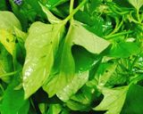 Hình bước làm 2 của món Bữa cơm dễ làm 42