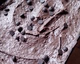 Foto del paso 6 de la receta: Brownies