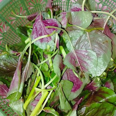 Langkah 1