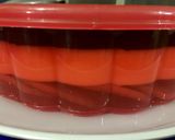 Foto langkah ke 6 dari resep Puding Marie Regal.