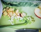 Salat aus Möhre Frühlingszwiebel und Feldsalat Rezeptschritt 2 Foto
