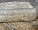 Foto del paso 7 de la receta: Mantecol crunchy con almendras tostadas fileteadas