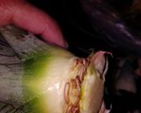 Foto del paso 3 de la receta Te de cáscara de piña y canela