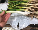 Foto del paso 1 de la receta: Calçots o cebolla tierna en Lékué con salsa romesco