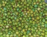 A picture of step 2 of Chatpati matar.