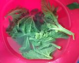 Foto del paso 1 de la receta: Ensalada de guías