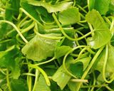 A picture of step 2 of Vietnamese Pennywort Salad with Small Shrimp.