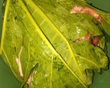 Foto langkah ke 1 dari resep 1007) Aseman Daging Daun Kedondong.