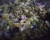 Foto langkah ke 1 dari resep Sambal Ijo Padang.