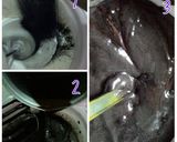 Foto langkah ke 4 dari resep Brownis Kukus Lezat.
